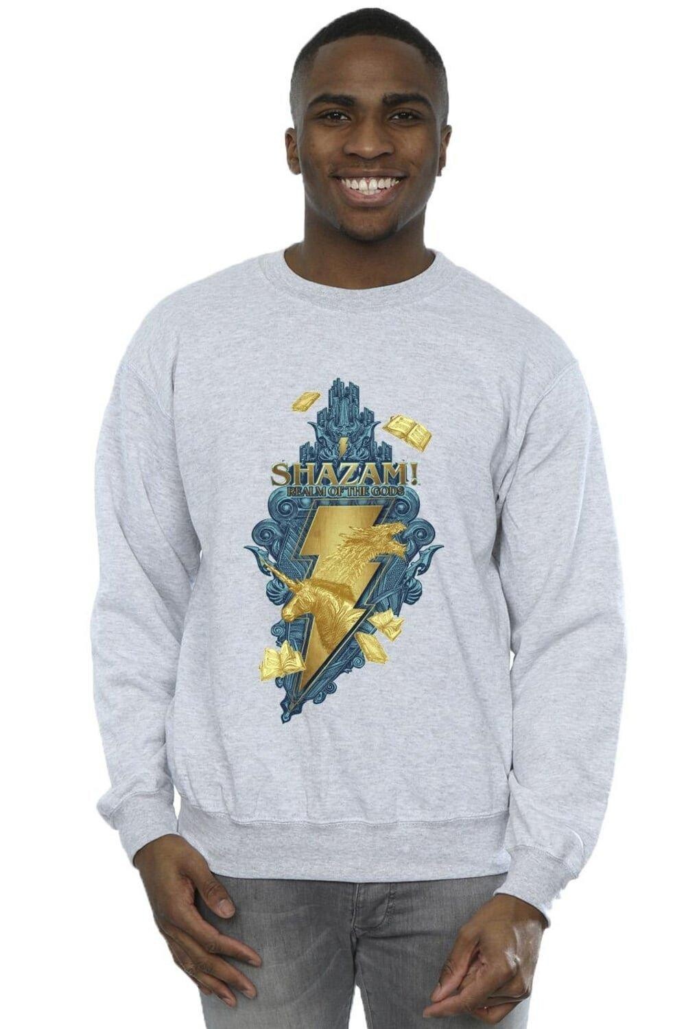

Толстовка Shazam Fury Of The Gods Golden Animal Bolt DC Comics, серый