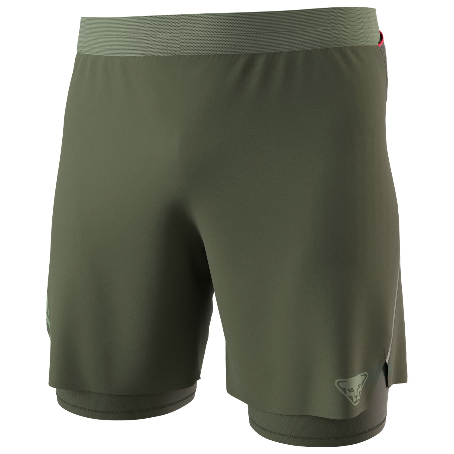 

Шорты для бега Dynafit Alpine Pro 2/1 Shorts, цвет Thyme/5290