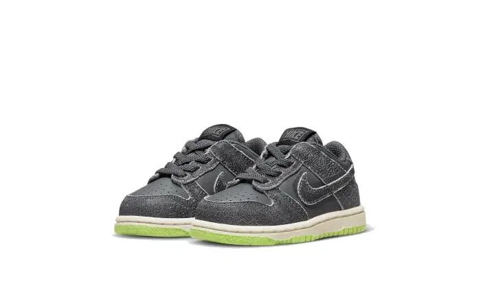 Детские кроссовки с низким силуэтом Dunk Low Swoosh Shadow Nike, Iron Grey — фото 2