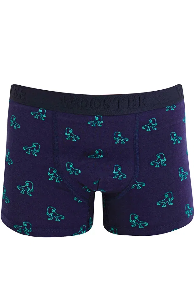 Детские боксеры для мальчиков с принтом Dinosaur cotton boys' boxers Wooster, Navy Blue