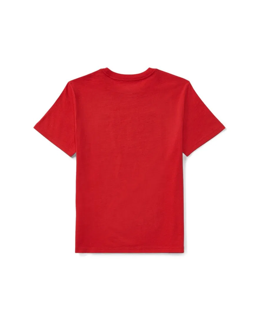 Футболка из хлопка с флагом США Polo Ralph Lauren, Rl 2000 Red — фото 2