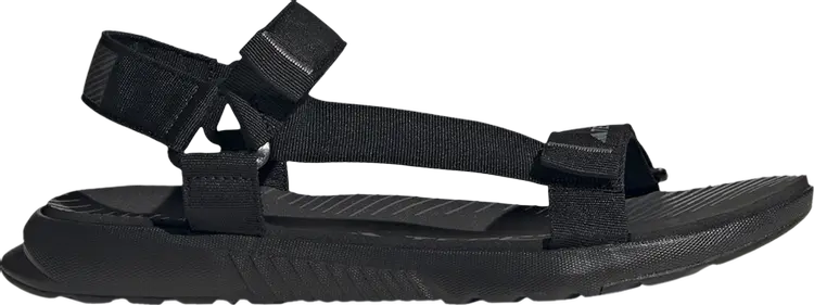 

Сандалии Adidas Terrex Hydroterra Light Sandal, черный