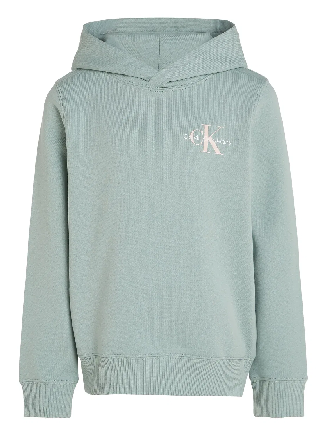 Базовое худи Calvin Klein Kids, зеленый