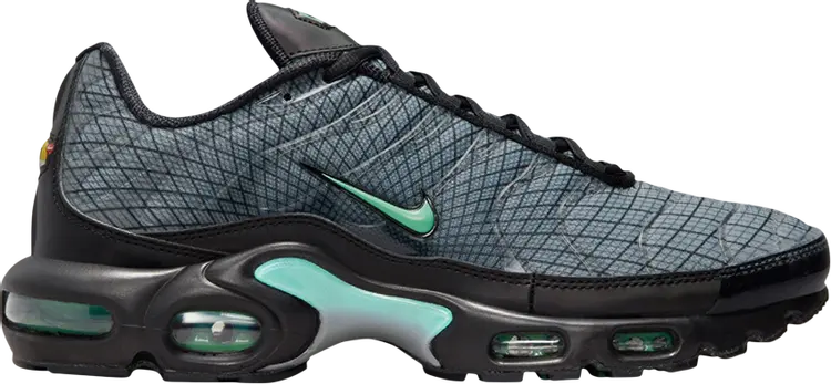 

Кроссовки Nike Air Max Plus 'Spirograph', серый