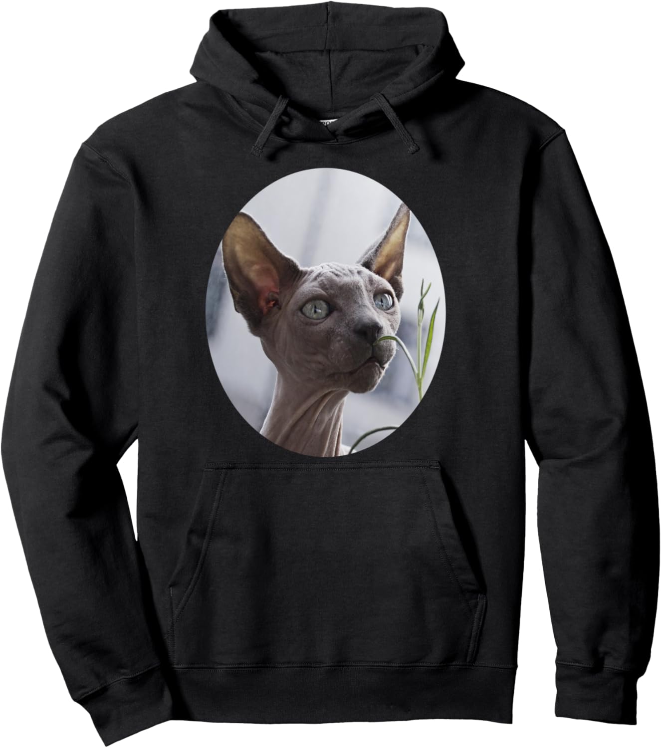 

Толстовка с изображением бесшерстного кота-сфинкса, черная, размер S Sphynx Hairless Cat Cat Lover, Черный, Толстовка с изображением бесшерстного кота-сфинкса, черная, размер S Sphynx Hairless Cat Cat Lover