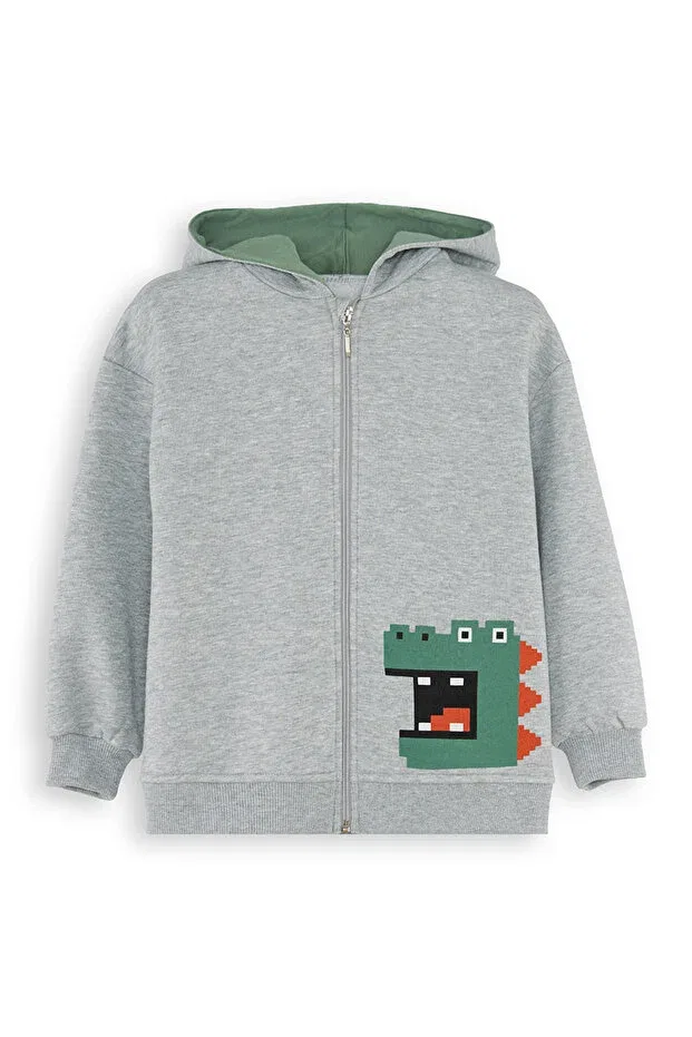 Детские свитшот для мальчиков с принтом Dinosaur Denokids, Gray — фото 4