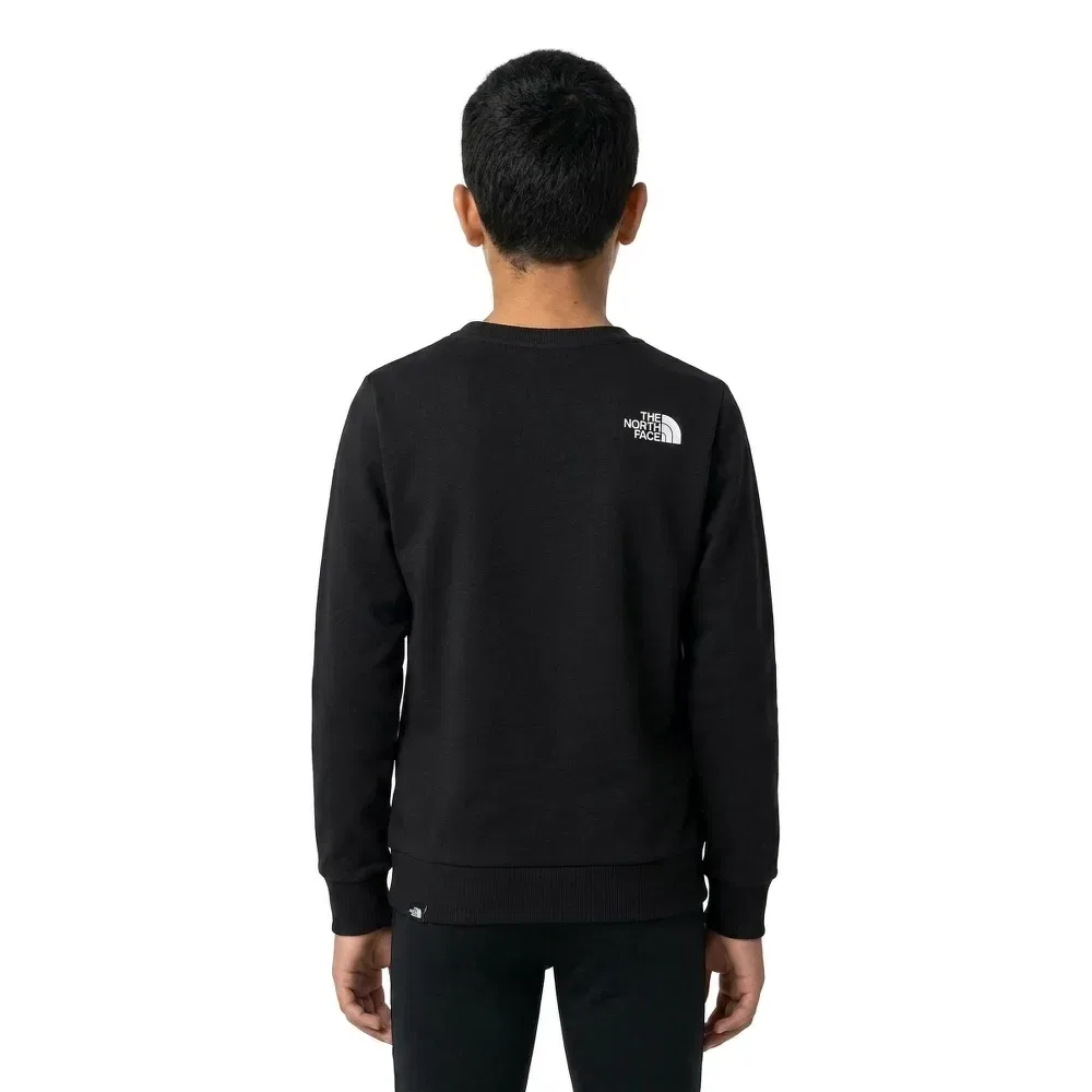 Детский свитшот для мальчиков Simple Dome The north face, Black — фото 4
