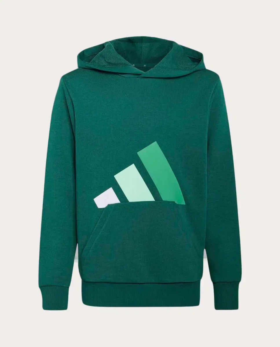 Детская худи для мальчиков из футера adidas, Verde