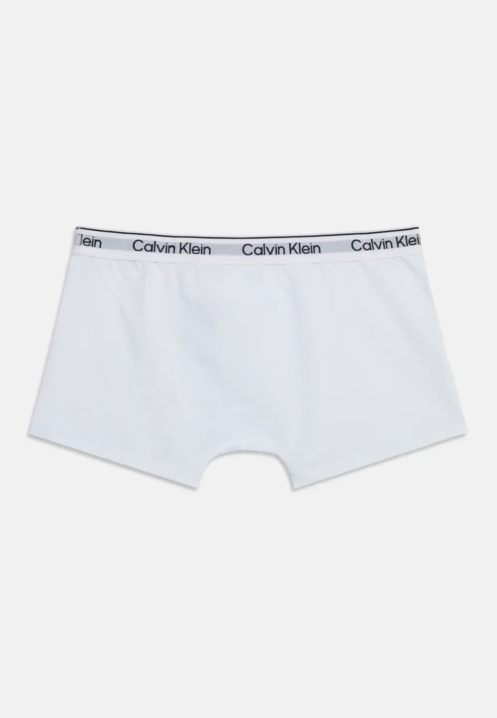 2 шт. - плавки Calvin Klein Underwear, White/Black — фото 2