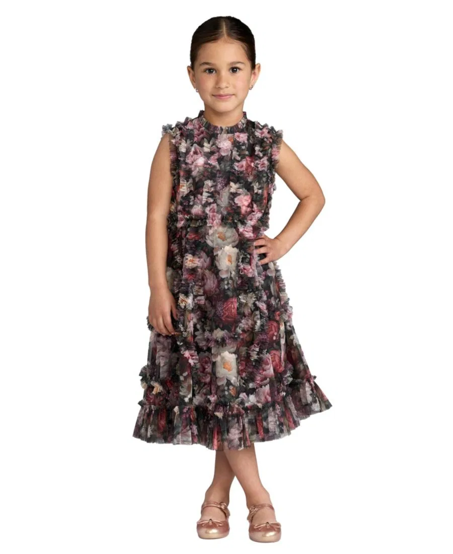 Платье для девочек без рукавов с рюшами и принтом Big Girls 2-14 Sleeveless Mesh Ruffle High Neck Dress Mac Duggal, Black Multi
