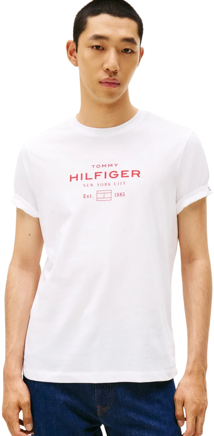 Мужская футболка с принтом Hilfiger Stack Tommy Hilfiger, White (White)