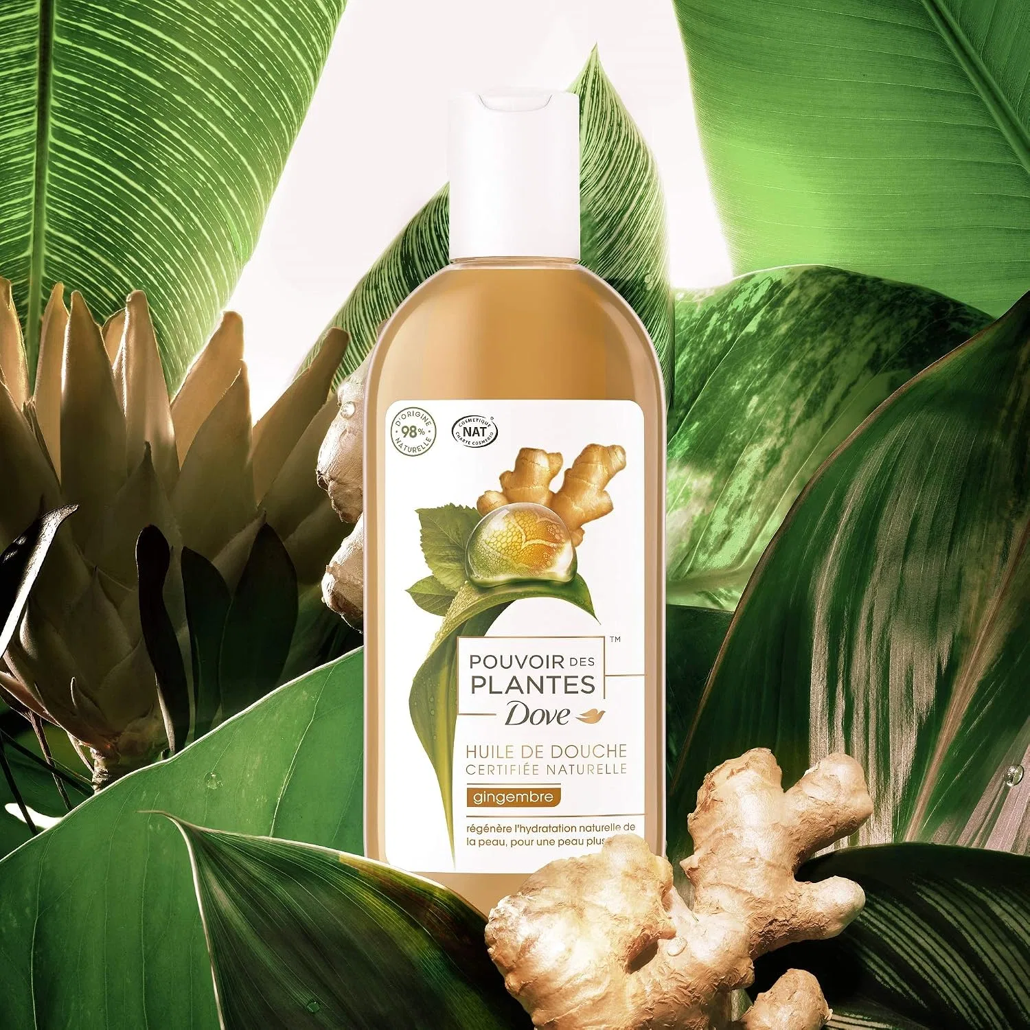 Масло для душа Ginger Nourishing Shower Oil, Dove, 250 мл — фото 4