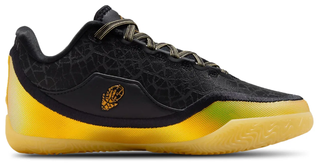 Кроссовки для мальчиков LeBron XXIII Nike, цвет Black/Multi