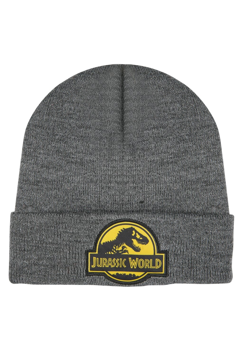 

Шапка JURASSIC WORLD WINTER , цвет dunkelgrau