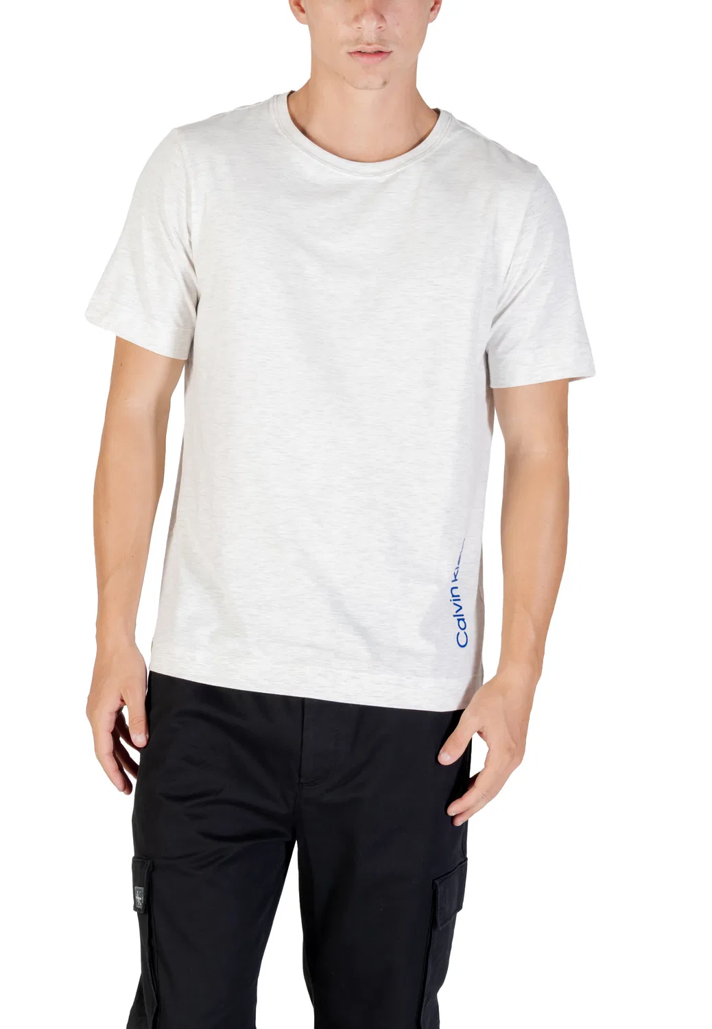 Мужская футболка с принтом SS TEE Calvin Klein, Grey