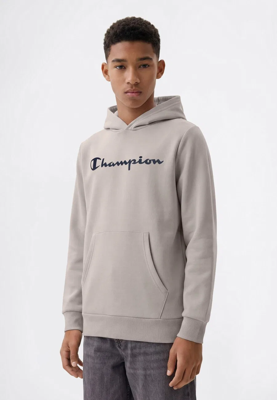 Толстовка Champion, серо-коричневый — фото 2