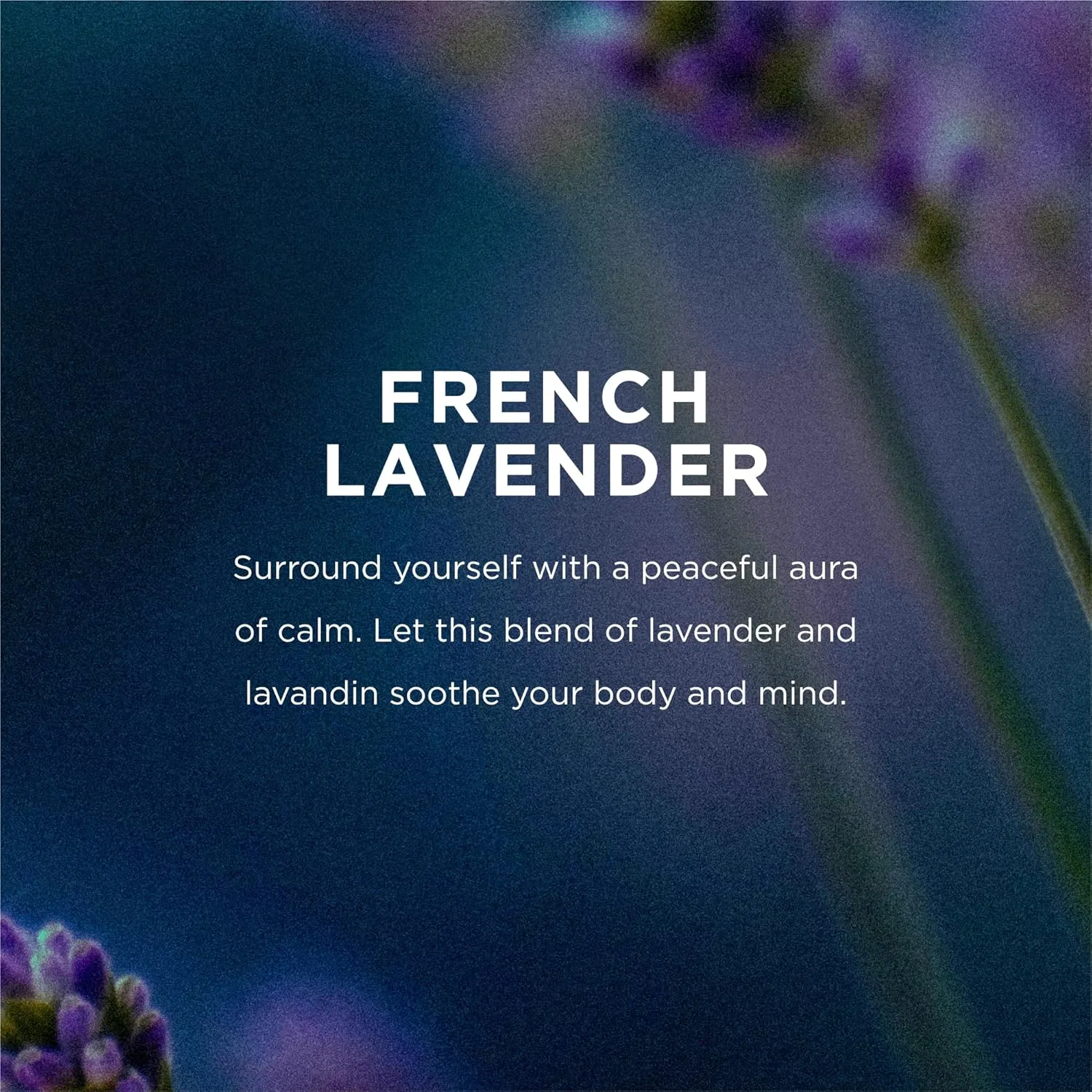 Гель для душа French Lavender, EO, 3800 мл — фото 4