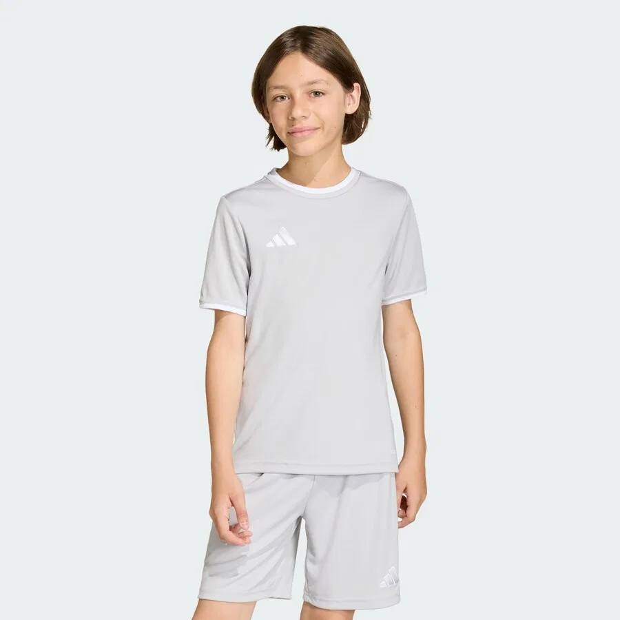 Футболка ADIDAS PERFORMANCE Performance Shirt 'Entrada26' цвета «камень» — фото 3