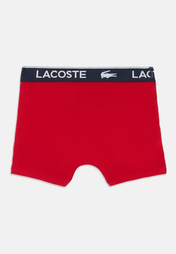 Комплект из 3 трусов-боксеров с графическим рисунком Lacoste, морской — фото 2