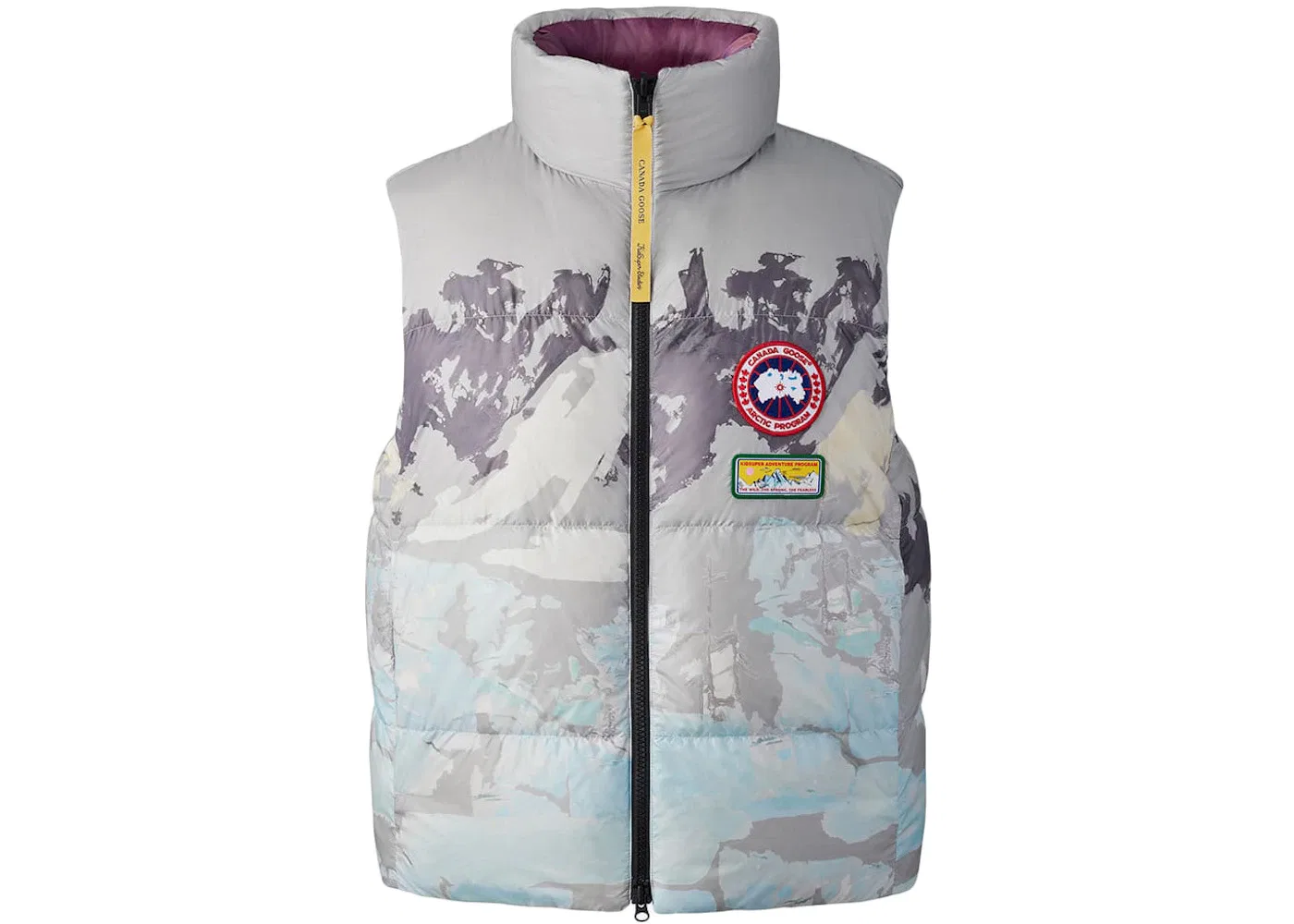 Мужской жилет с принтом Reversible Vest Canada Goose, Landscape Print