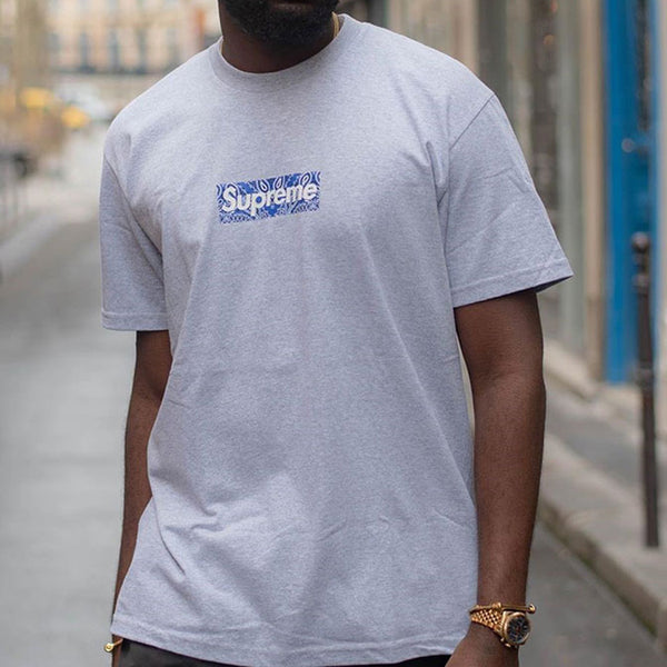 Футболка fw19 week 17 bandana box logo tee cashew short sleeve gray Supreme, серый — фото 3