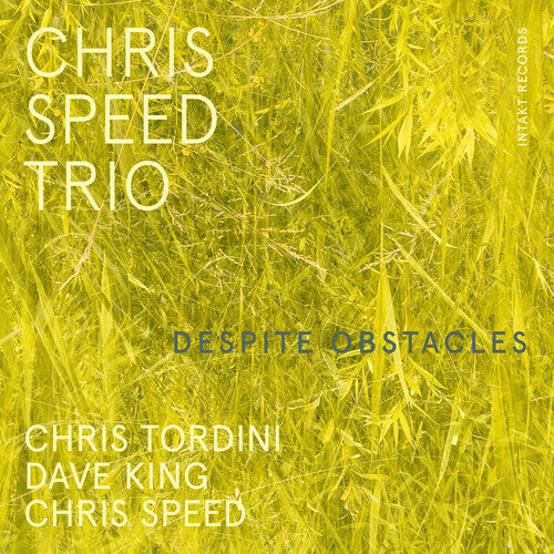 

CD диск Speed, Chris: Despite Obstacles