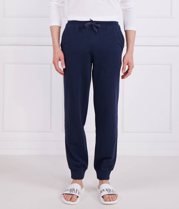 

Штаны спортивные Emporio Armani Regular Fit, синий