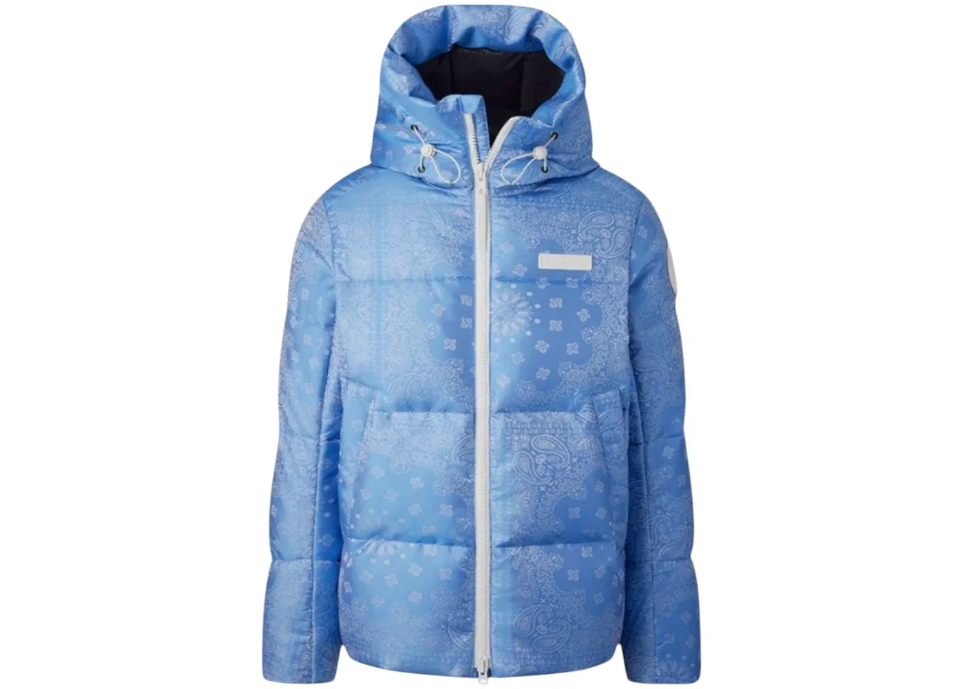 Мужская парка с принтом Parka Canada Goose, Polar Sky