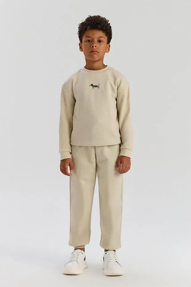 Детское для мальчиков свитшот хлопковый Nebbati Basic, Beige