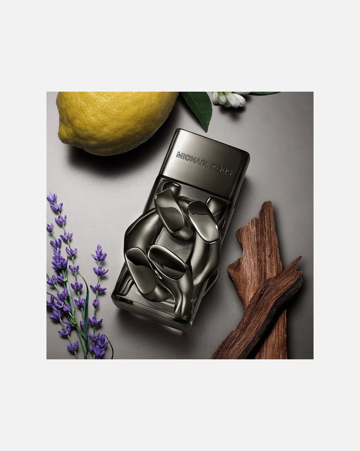 Абсолютная парфюмерная вода для мужчин Michael Kors, 50 Ml — фото 3