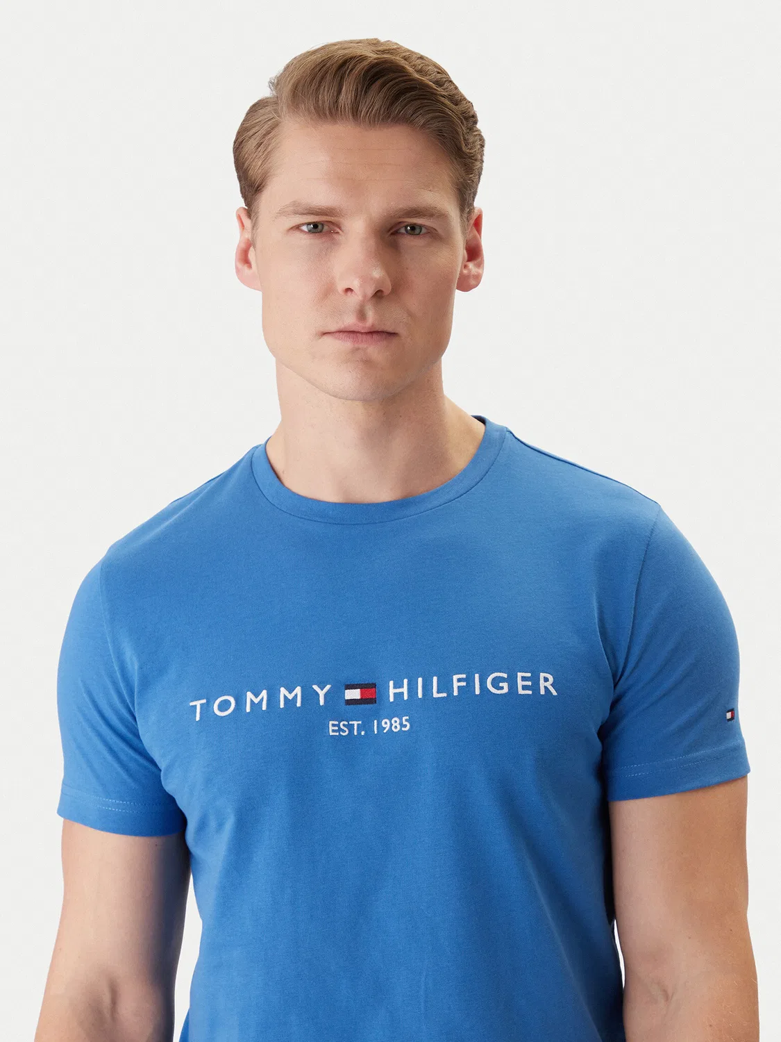 Мужская футболка Tommy Hilfiger, синий — фото 4