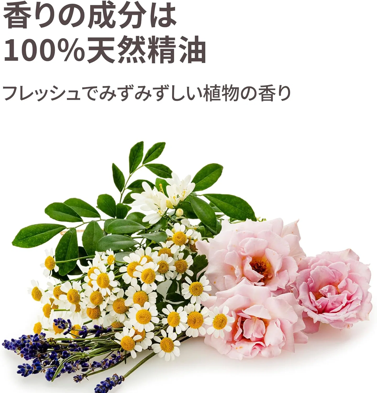 Солнцезащитный крем STEAMCREAM SPF33 PA+++ 300 г Original — фото 4