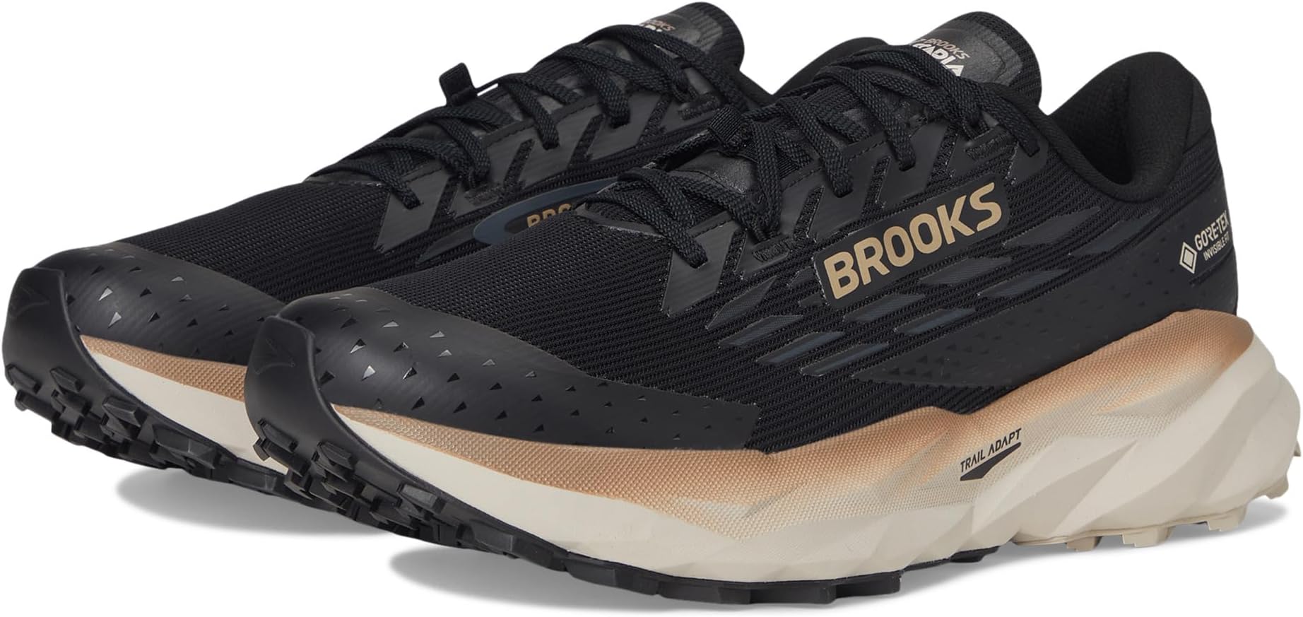 

Кроссовки Brooks Cascadia 19 GTX, цвет Black/Ebony/Chateau Gray