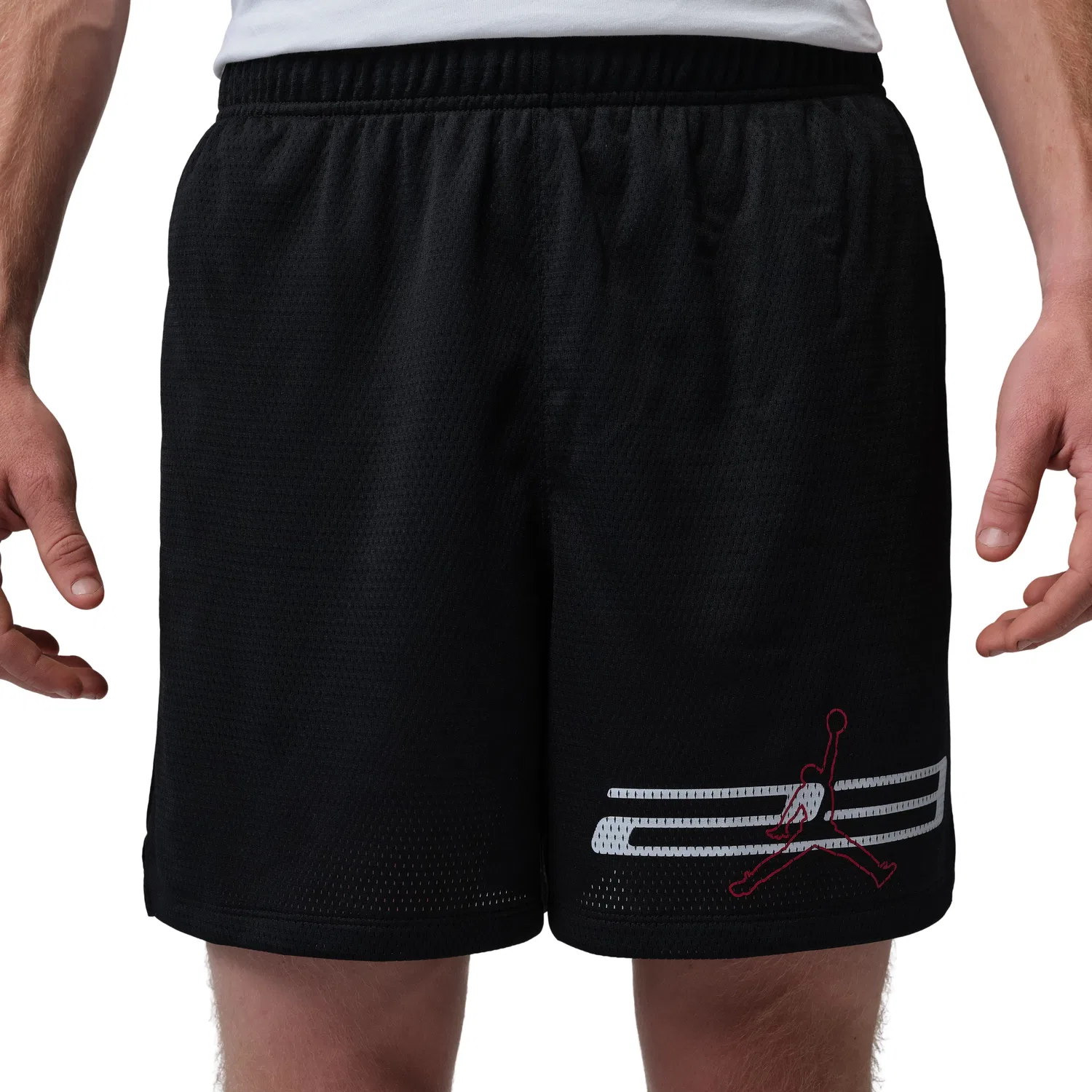 Мужские шорты с сетчатым принтом Jordan Dri-FIT Mesh Graphic Shorts, черный — фото 2