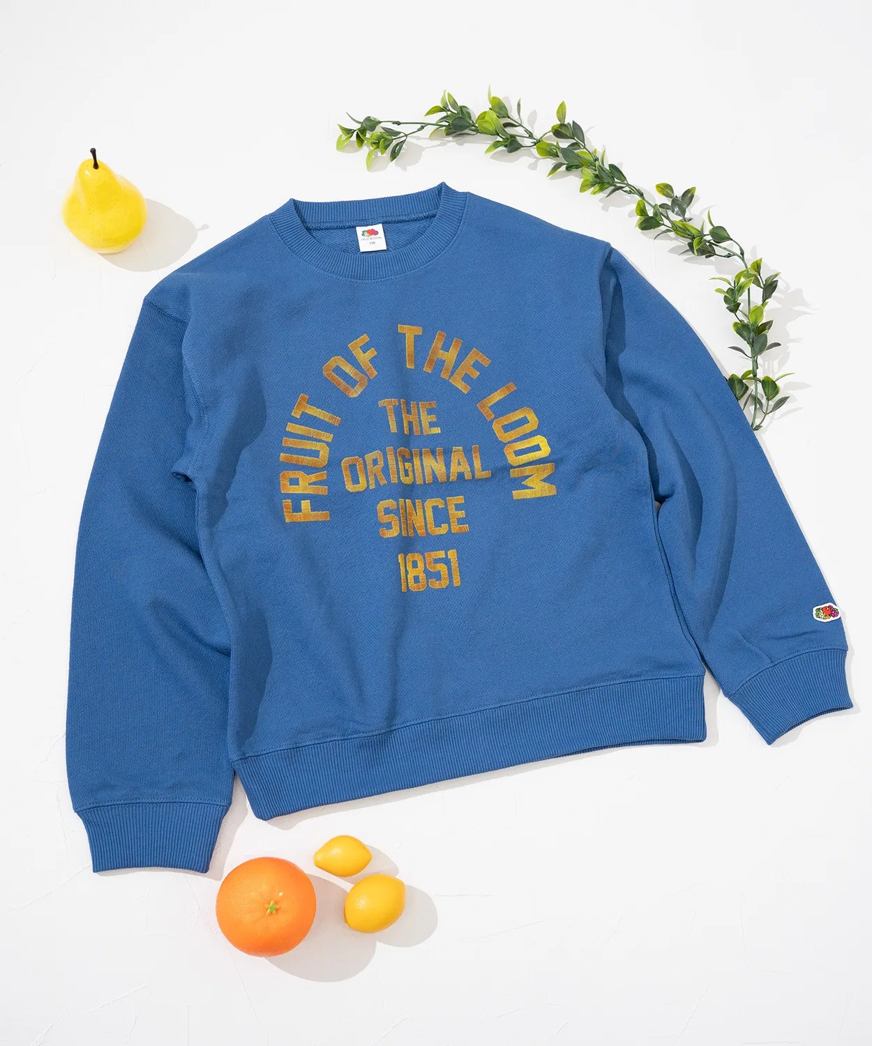 Свитшот детский с логотипом Fruit of the Loom, хлопок, чёрный — фото 3