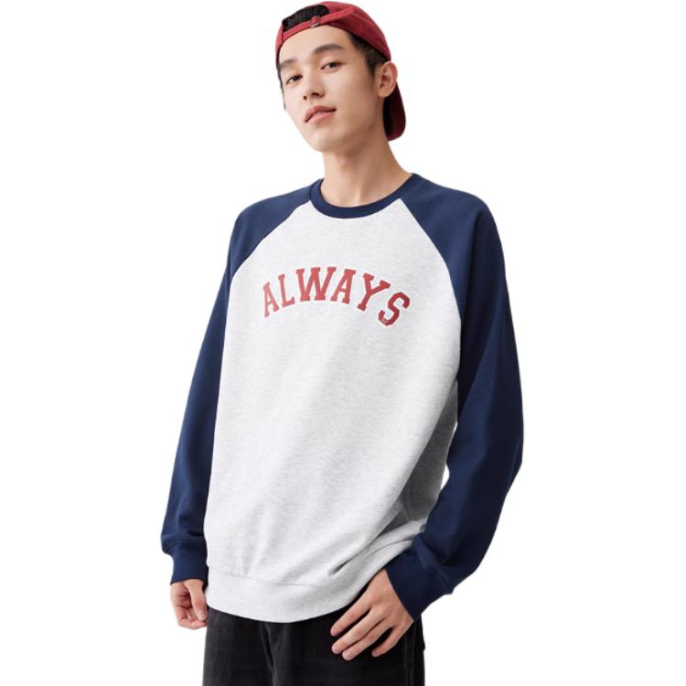 

361° Свитшот мужской Primary Flower серый/Mica Blue с круглым вырезом Moderate Regular