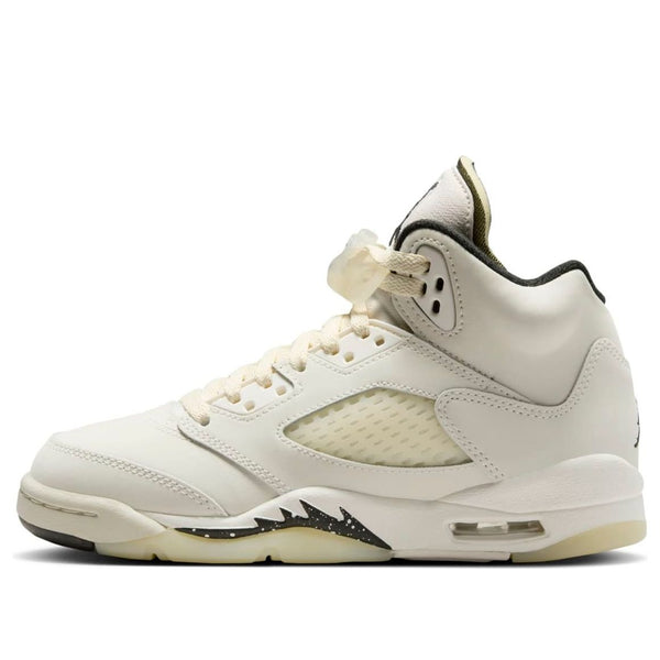 

Кроссовки 5 retro se 'sail' Air Jordan, мультиколор