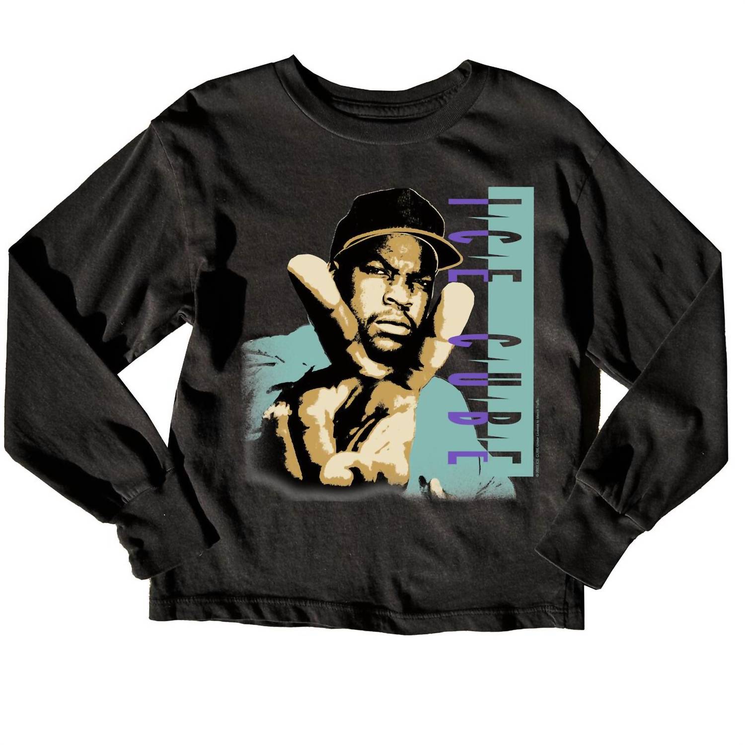 

Футболка Ice Cube Organic в цвете Jet Black ROWDY SPROUT