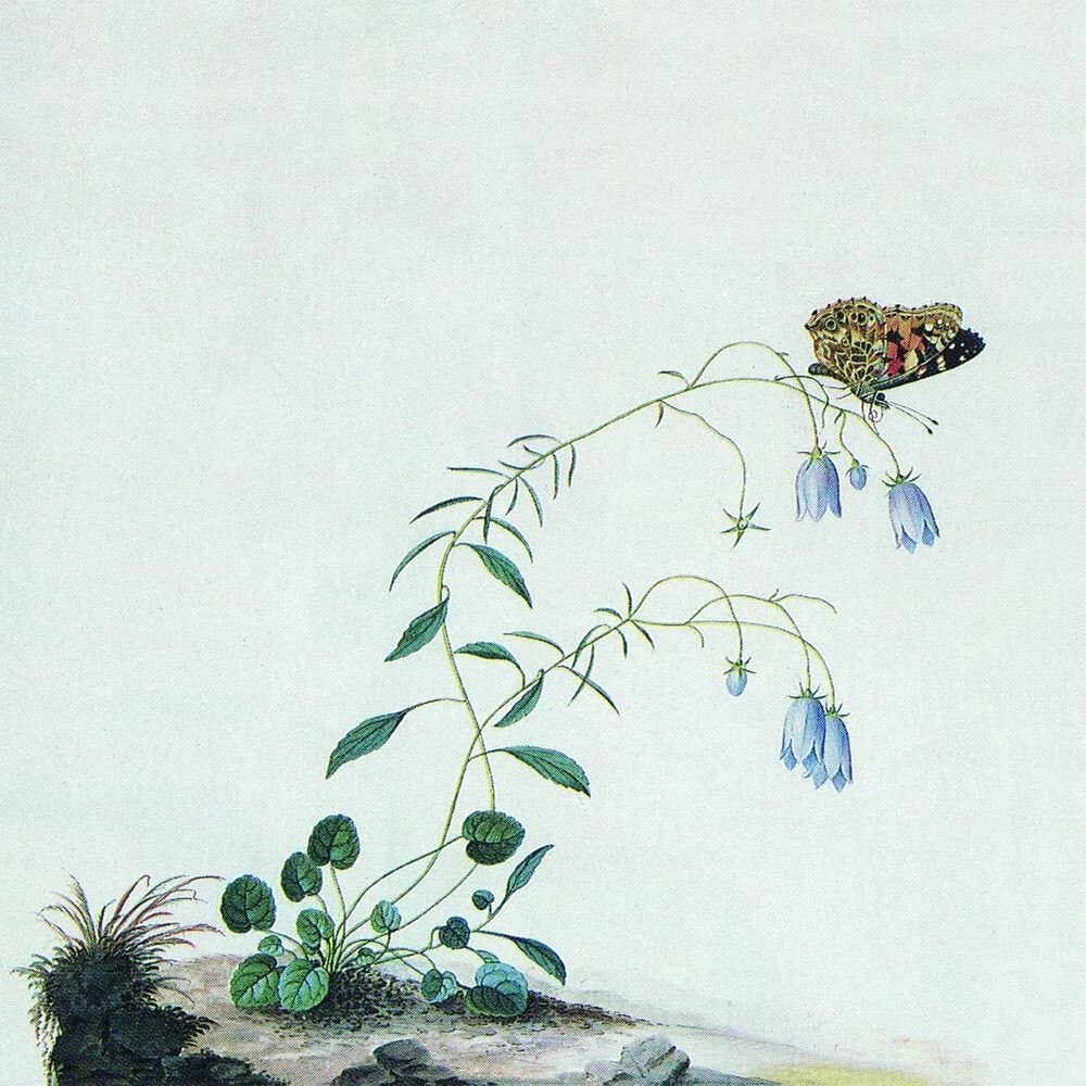 

Виниловая пластинка LP I: The Suicide Tree / II: A Rose From The Dead - Botanist