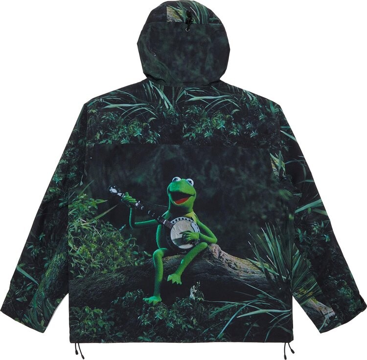 Куртка Supreme GORE-TEX Taped Seam Shell 'Kermit The Frog', разноцветный — фото 2