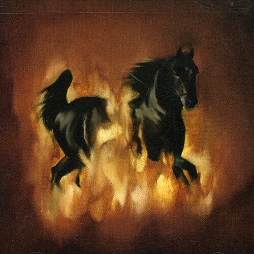 

CD диск Besnard Lakes: The Besnard Lakes Are The Dark Horse