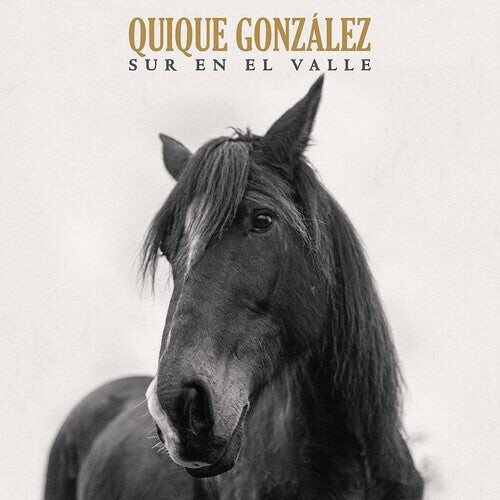 

CD диск Gonzalez, Quique: Sur En El Valle