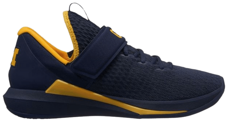 

Кроссовки Air Jordan Jordan Trainer 3 'Michigan', синий