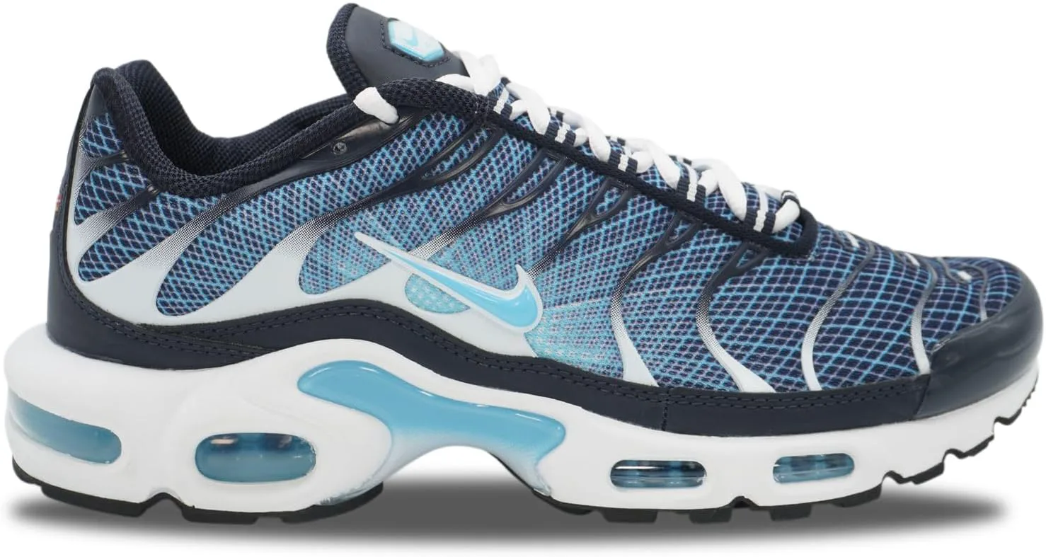 Мужские кроссовки для бега Nike Air Max Plus Ih4460, синий