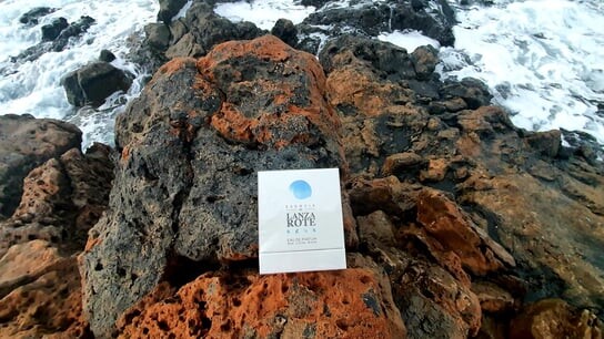 Парфюмированная вода, 50 мл Aloe Plus Lanzarote, Essencia De Lanzarote Aqua — фото 3
