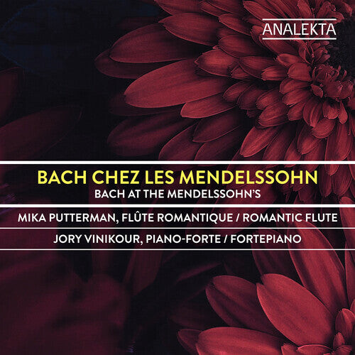 

CD диск Putterman, Mika / Vinikour, Jory: Bach Chez Les Mendelssohn