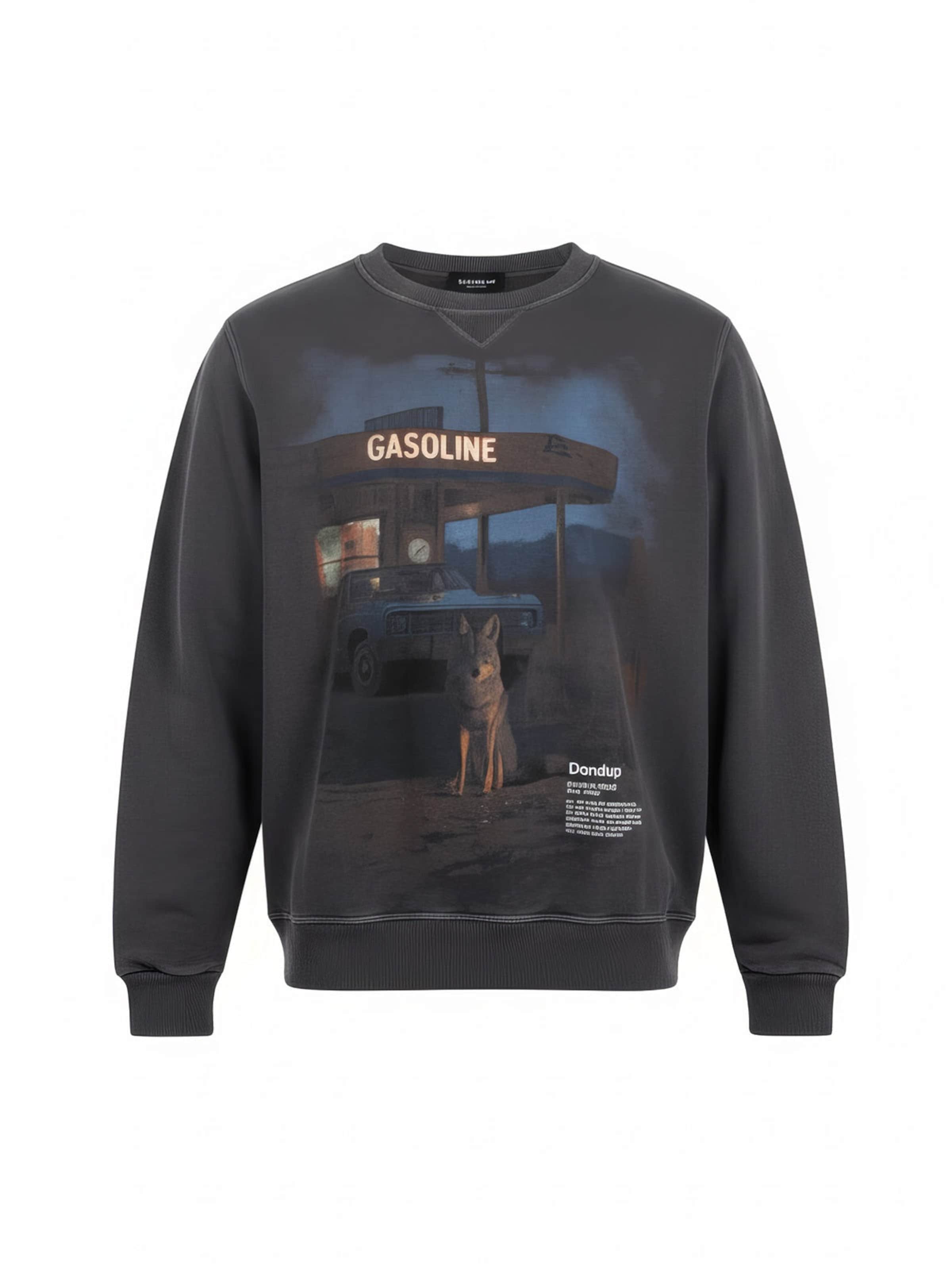 

Dondup Свитшот, мультиколор