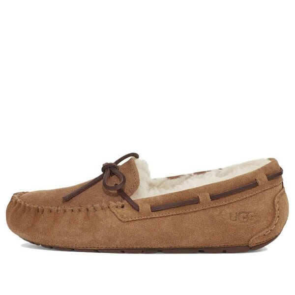 Сапоги зимние UGG Dakota, коричневый