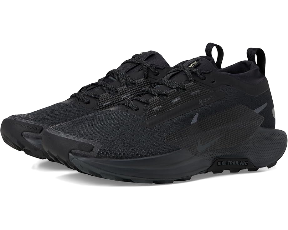 

Мужские кроссовки Nike Pegasus Trail 5 Gore-Tex, Black/Black/Anthracite