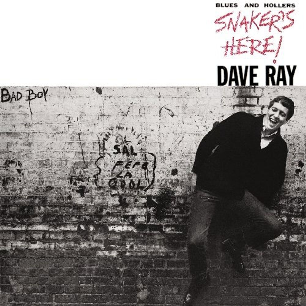 

Диск CD Snaker's Here - Dave Ray